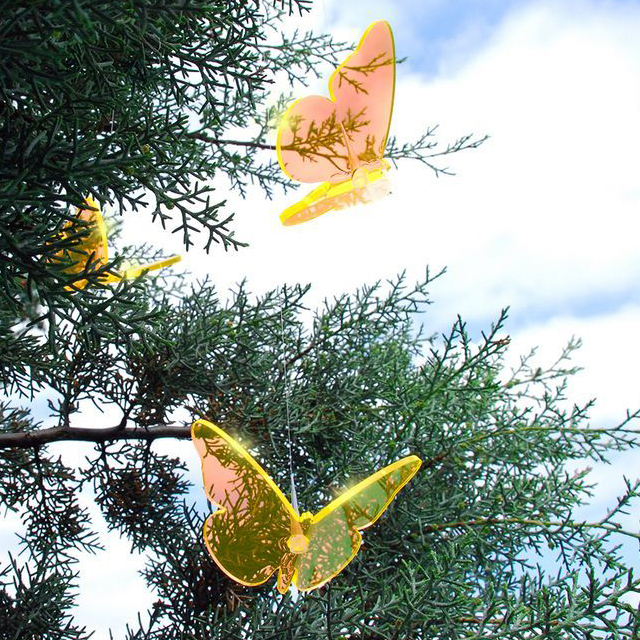 Lichtzauber - Schmetterling