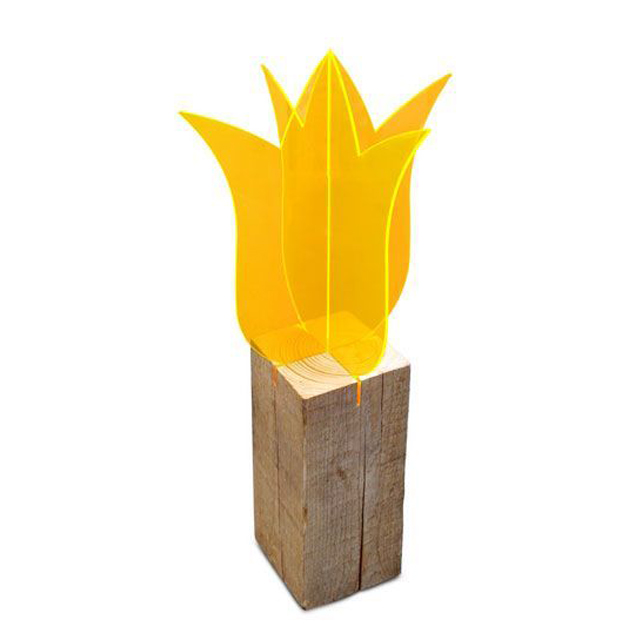 Lichtzauber Tulpe