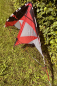 Preview: Telesto rot