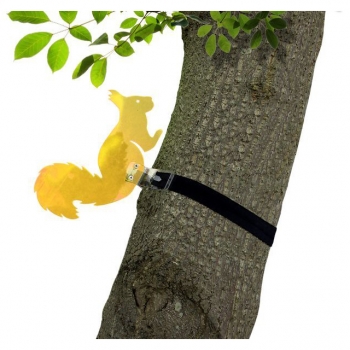 Lichtzauber Eichhörnchen