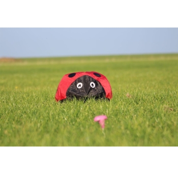 Bodenwindspiel Ladybug