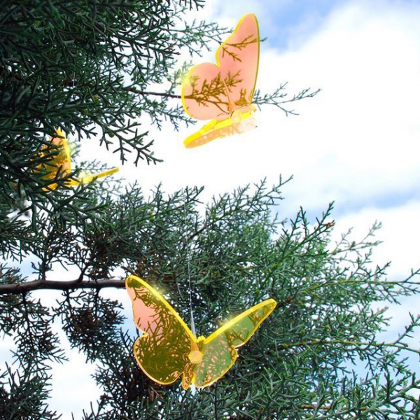 Lichtzauber Schmetterling