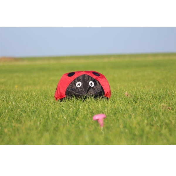 Bodenwindspiel Ladybug