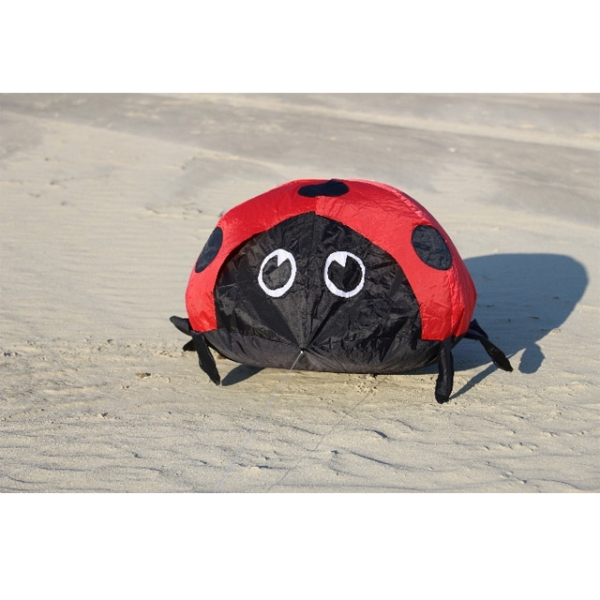 Bodenwindspiel Ladybug
