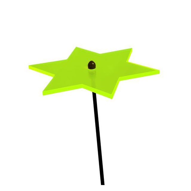 Lichtzauber Stern