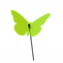 Lichtzauber Schmetterling klein grün