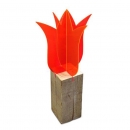 Lichtzauber Tulpe magic rot